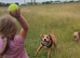 Luna the Mix Breed