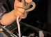 corn snakes Male with viv included