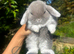 Adorable Baby Bunny’s