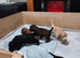 Cockapoo Puppies For Sale!!