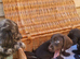 Docker puppies (x dashpund)