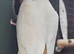 2 year old Lutino male Cockatiel