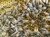 Bee Hive, National, Hive, Honey,NUC,Nucleus,Bee colony Beehive 14x12,Langstroth