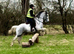 15.1 Connemara x Cob , Blue n white rising 4 yr mare