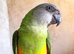 Beautiful baby Senegal