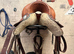 Western saddle