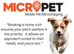 Mobile Microchipping May offer