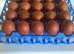 Hatching eggs available