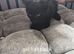 5 beautiful kittens cross tabby and Bengal ready now