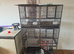 Cages and 5 cannrys full lot to go