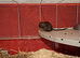2 Male Gerbils needing a new home