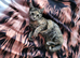 Female kitten for sale