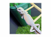 BEARDED DRAGONS