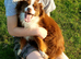 Small girls for rehoming