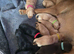 Beautiful litter of labrador puppies