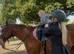 Stunning gelding