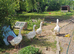 Ebden Goslings for sale