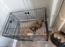 Large crate for sale