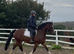 6 yr old allrounder