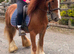*** MOTHERS DREAM PONY ***
