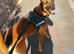 Forever home needed for Mali