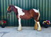 Stunning Skewbald Traditional Cob