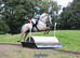 Hunting/Pony club Pony