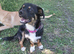 HOPE – From Death Row to a Heart Full of Hope
