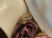 1 and half year old female hognose snake