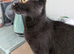 Rehoming of shadow