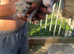 3 sandy hods 3 polecats hods