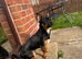 Max age 5 months ish