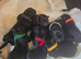 Black German Shepherd pups