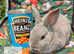 Pedigree Mini Rex bunnies ready for reserve. Ready to leave us on Tuesday 13th October.