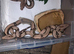 Baby boas