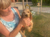 Cocker Spaniel boys available