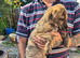 Lurcher pups