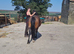 Stunning welsh c mare offers welcome