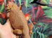50% Red Monster Bearded Dragon