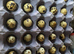 Quail Hatching Eggs