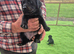 Beautiful litter of Labradors