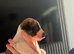 Whippet cross pups