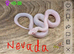2 rare morph corn snakes