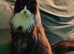 Stunning UNUSUAL MARKED MAINE COON BOY. READY NOW