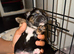 Beautiful puppies for sale