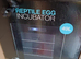 White python incubator