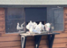 4 white fantails and 2 pied