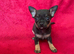 Beautiful Belle Ready Soon