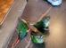 Conure