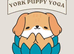Looking for fun-loving puppies aged 6-8 weeks